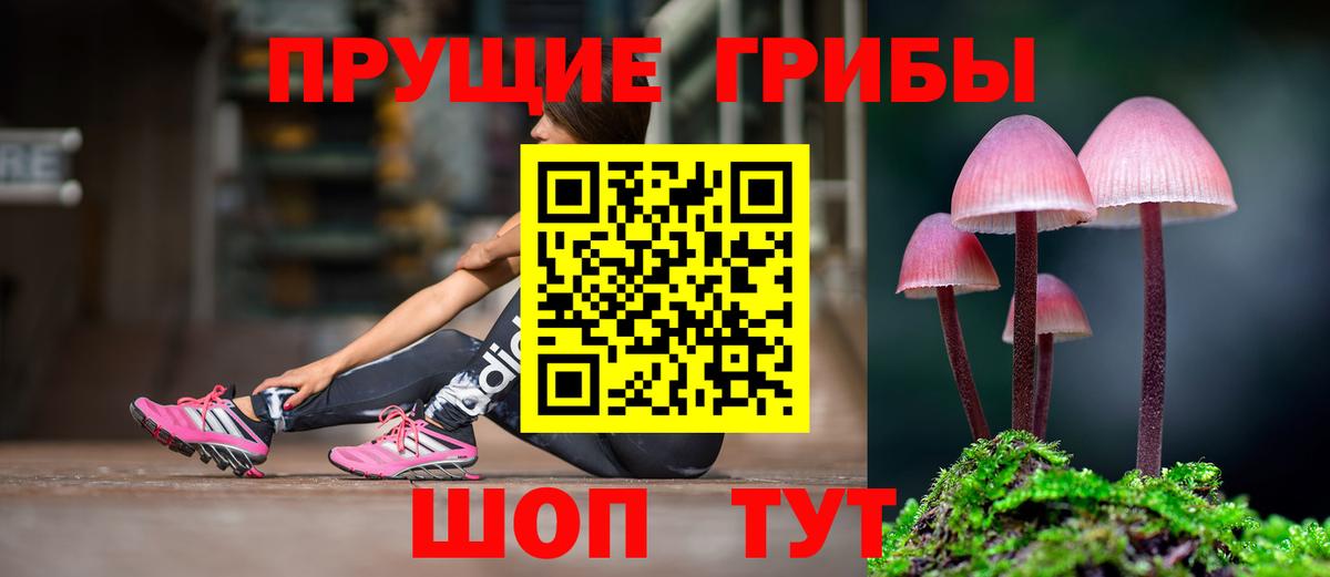 Псилоцибиновые грибы MAGIC MUSHROOMS Сегежа